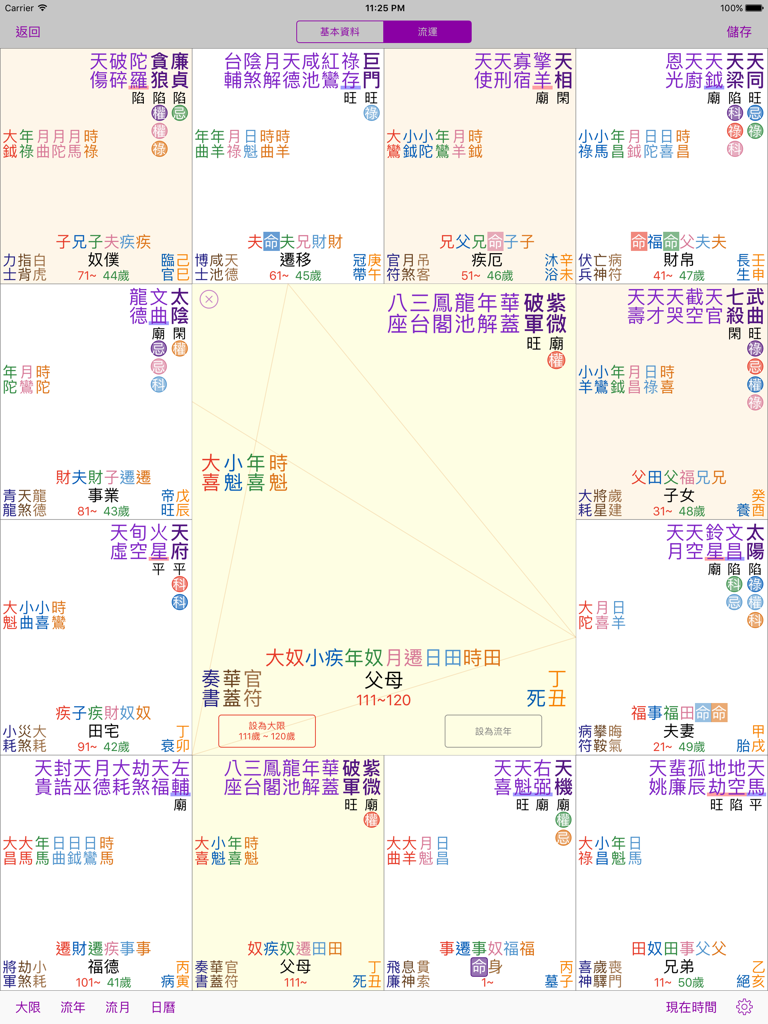 Professional Zi Wei Dou Shu astrological chart interface on iPad showing twelve houses and star placements