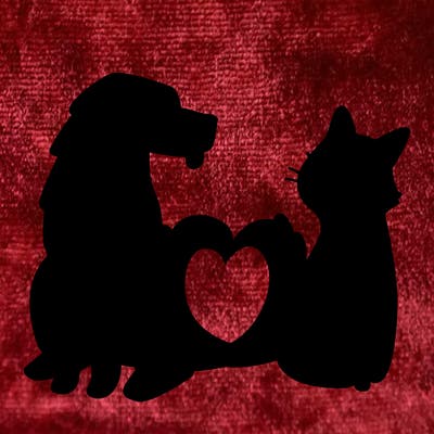 animals_22