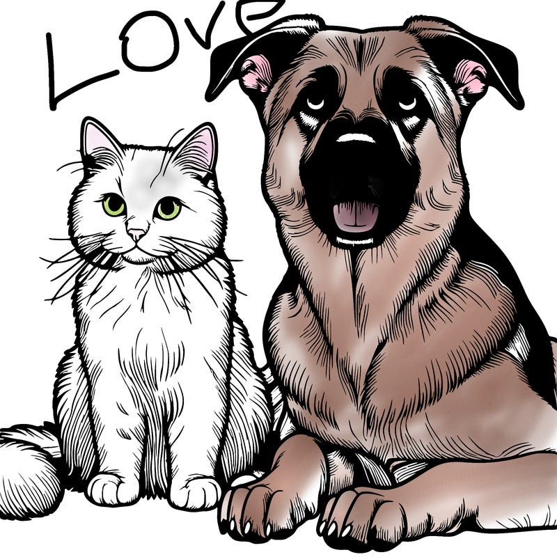 realistic dog and cat