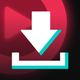 TikSaver: Tik Video Saver