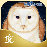 Messenger Oracle - App Icon