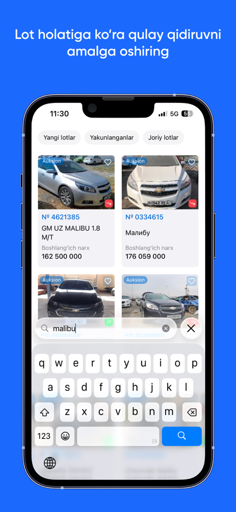 e-auksion - Interface do aplicativo e-auksion mostrando uma busca por lotes de leilão de veículos.