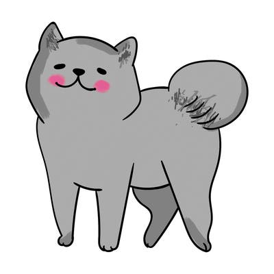 animals_29