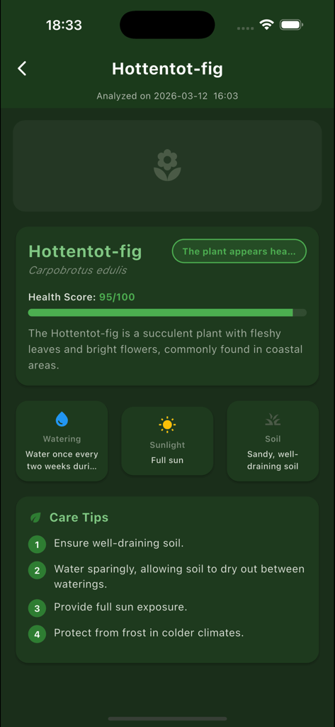 Plantia – AI Plant Identifier - Plantia AI app display showing health score and detailed care instructions for a Hottentot-fig plant