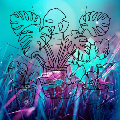 flowers_25