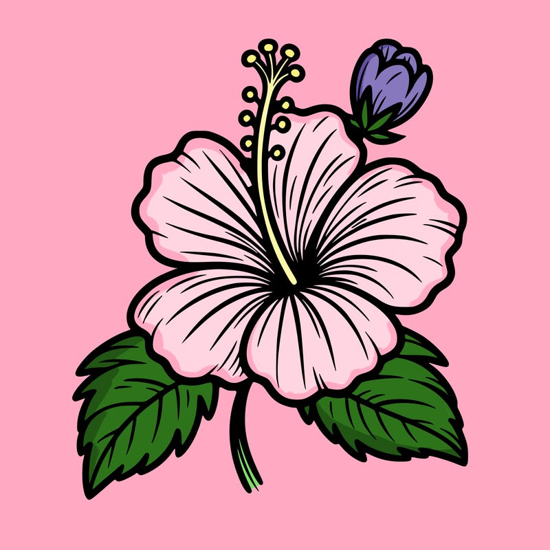 hibiscus flower