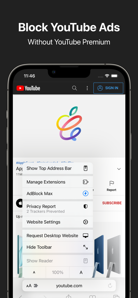 AdBlock Max - AdBlock Max extension blocking YouTube ads in Safari on iPhone