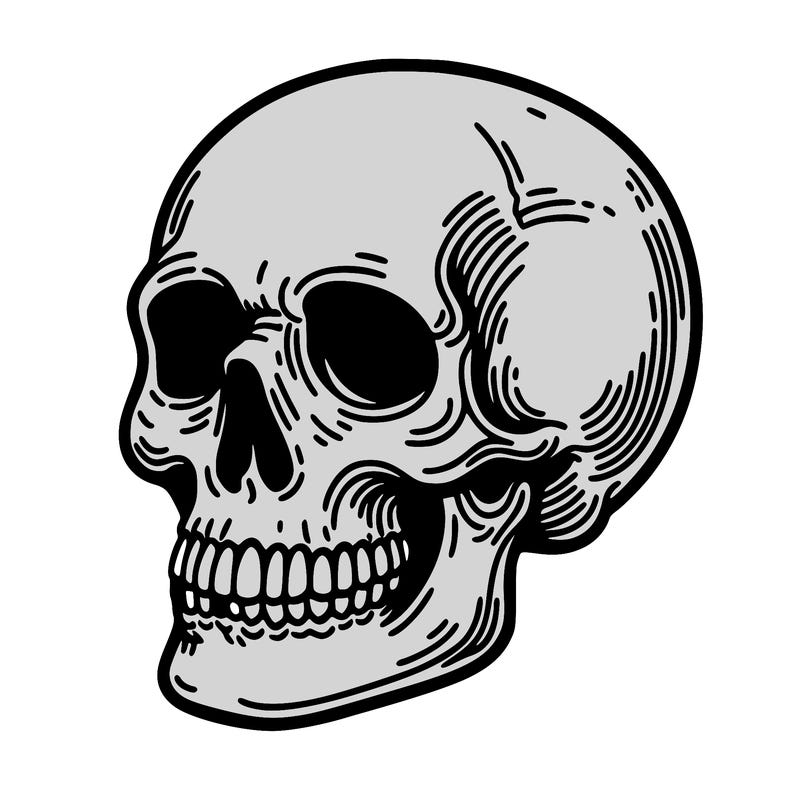 skull