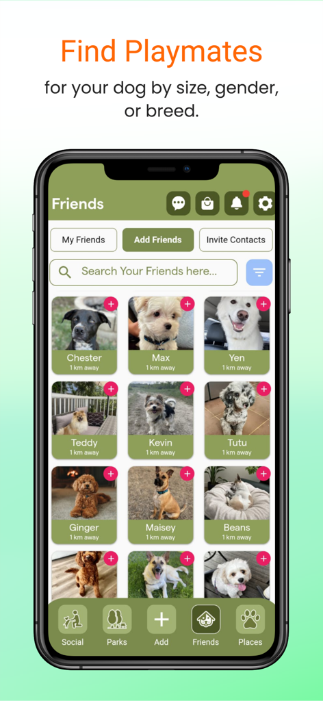 Wag Buddy - Bring Fido Along! - Wag Buddy app screen showing a grid of dog profiles with names and distances to help find playmates