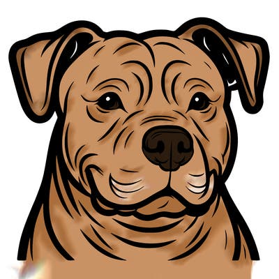 pitbull