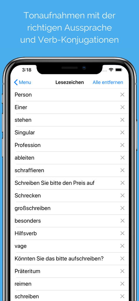A list of bookmarked German words and phrases in the dictionary app interface
