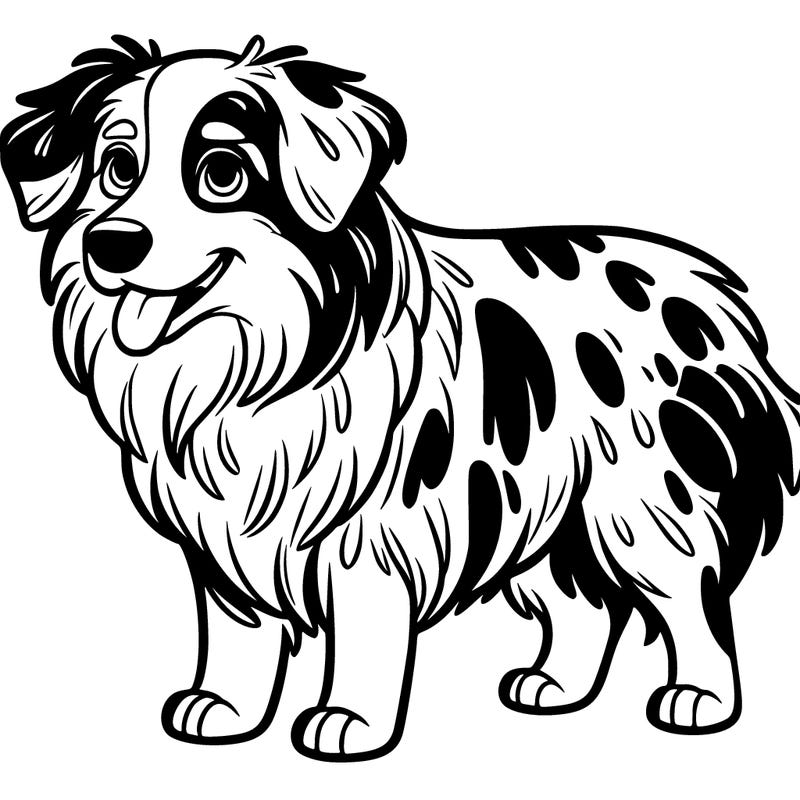 australian shepherd