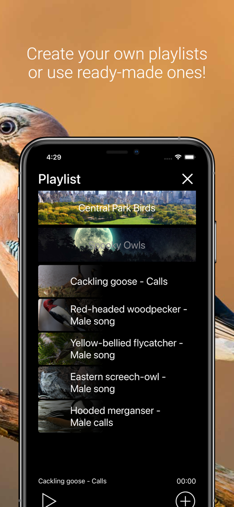 A mobile app screen showing a playlist of various bird species and their specific sounds such as male songs and calls.