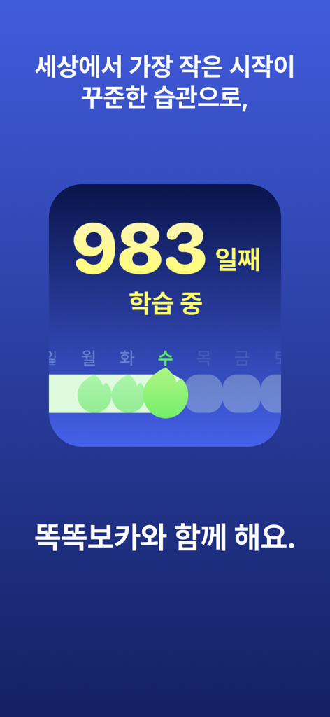 똑똑보카-영어,일본어,중국어등 언어 공부하고 돈버는 앱 - A mobile screen showing a 983 day learning streak and a weekly habit progress tracker in the Ddokddok Voca app