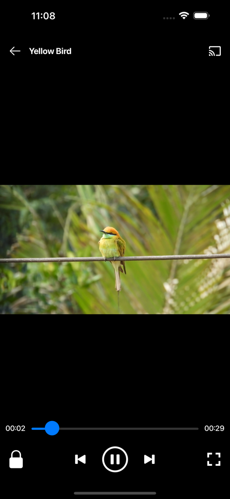 Fuevana IPTV Pro video player interface showing a bird video with playback controls and AirPlay icon.