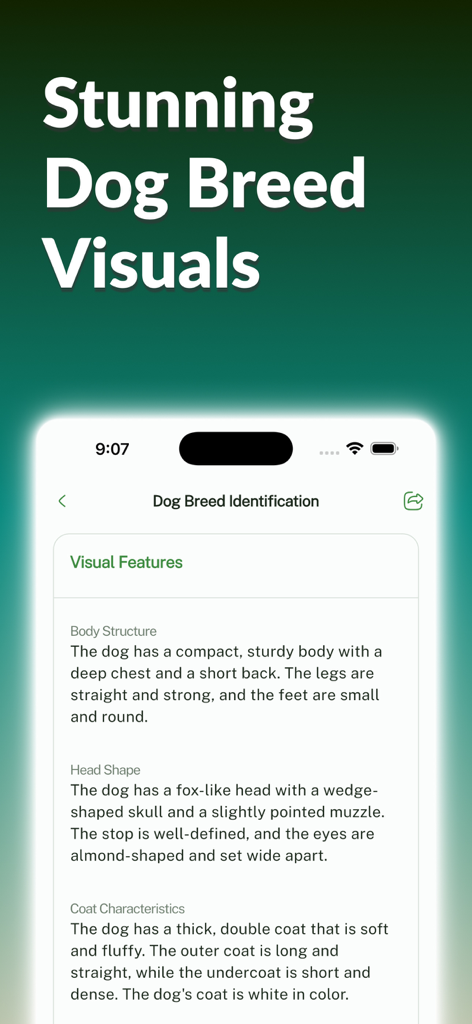Dog Breed Identifier: Dog Care - App interface showing detailed dog breed visual features including body structure, head shape, and coat characteristics.