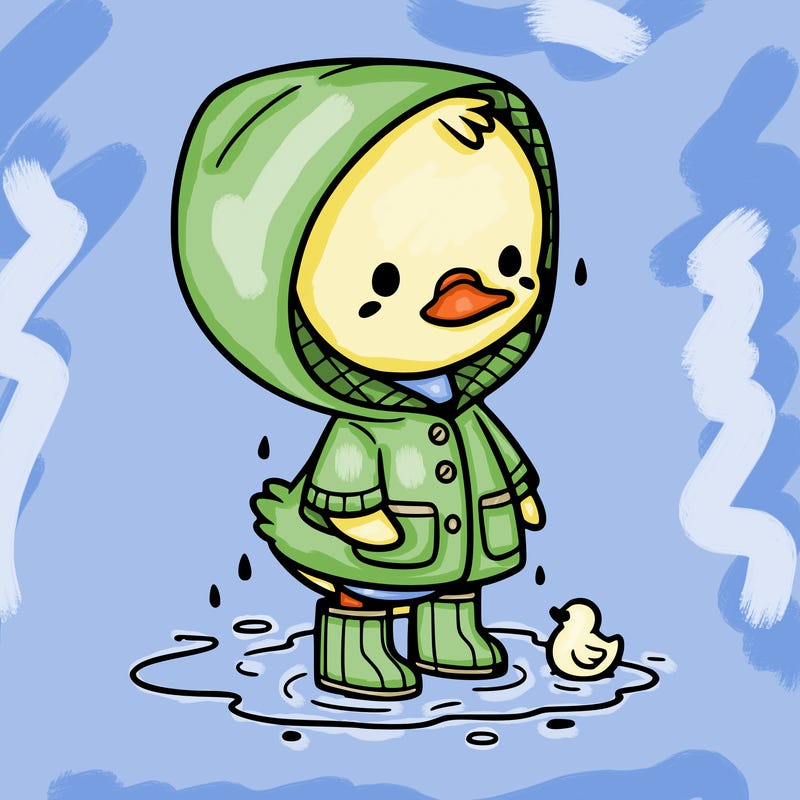 baby duck in a rain coat and boots, in a puddle while it’s raining