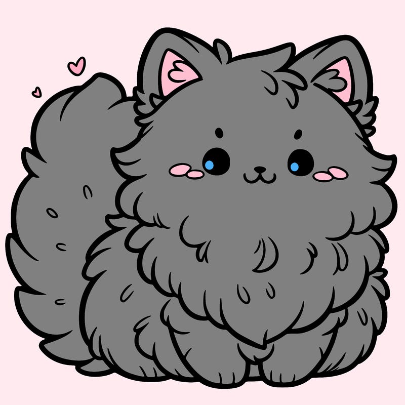 cute fluffy cat