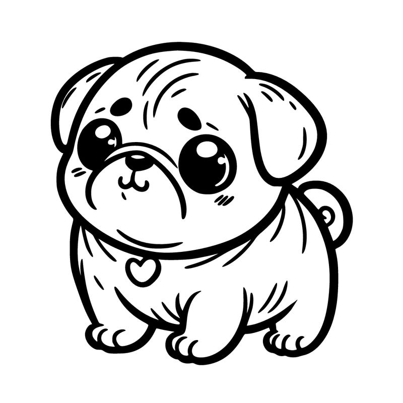 cute pug