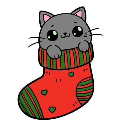 cute cat in a sock