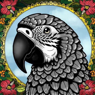 realistic parrot mandala