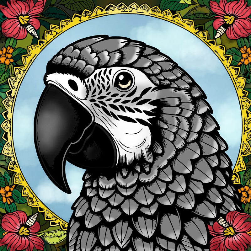 realistic parrot mandala