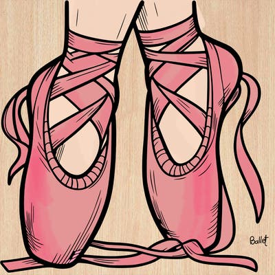 ballet shoes