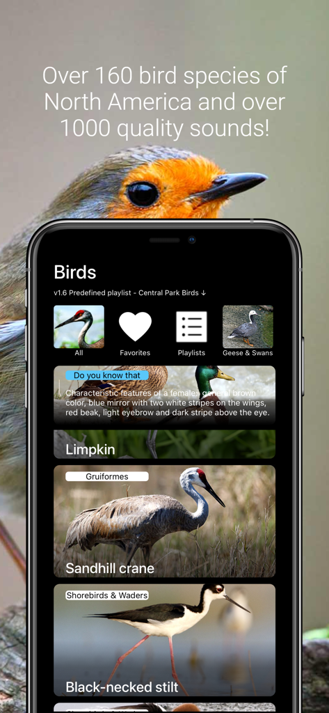 Mobile app interface of Birds of North America Sounds showing a gallery of bird species and audio playlist options.