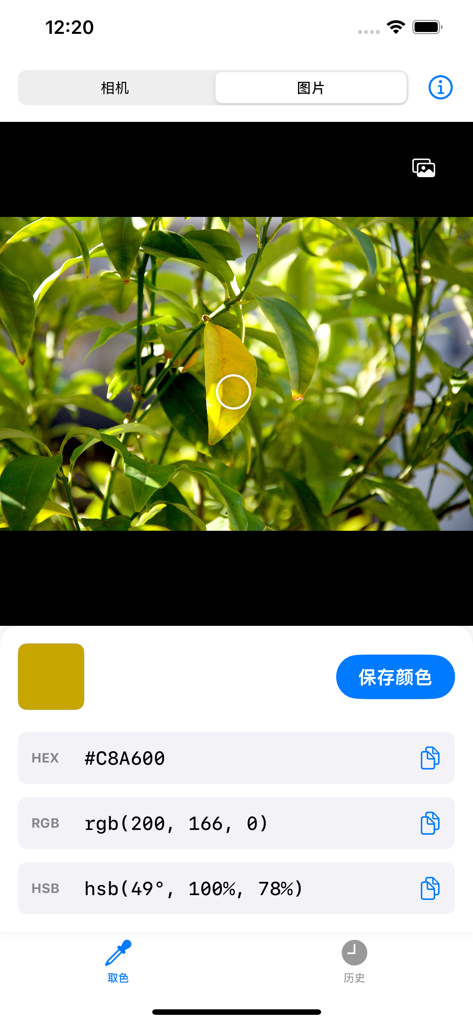 Dev Color Picker 앱이 나뭇잎 사진에서 HEX RGB 및 HSB 값을 추출하는 모습