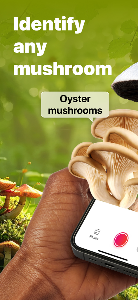 Picture Mushroom: Identifier - 森の中でオイスターマッシュルームを識別するためにスマートフォンを使用している人