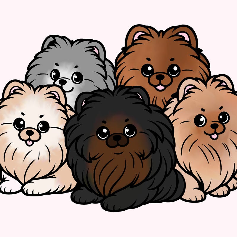 a group of pomeranians
