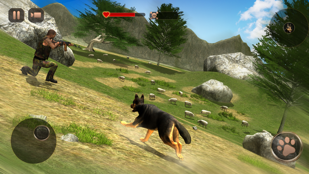 Shepherd Dog Simulator 3D - Perro Pastor Alemán protegiendo a las ovejas de un ladrón en un juego simulador rural en 3D