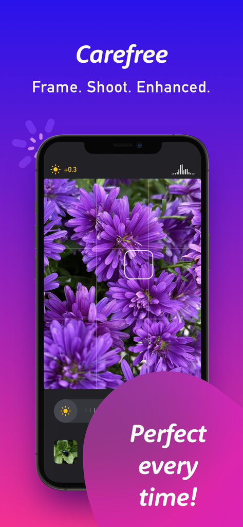 Macro by Camera plus app interface showing a close up photo of vibrant purple flowers with grid and exposure controls