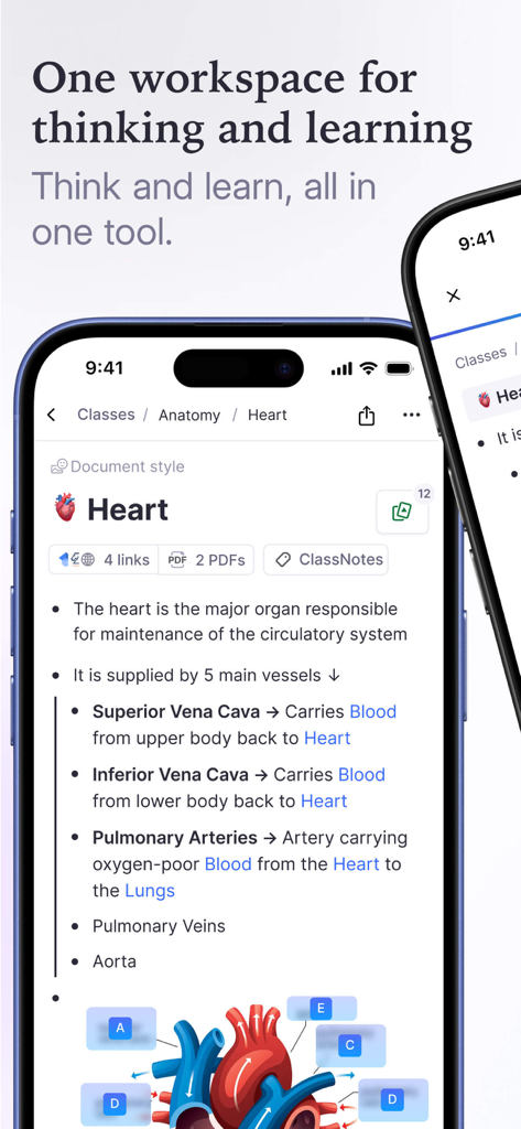 RemNote - Notes & Flashcards - Interfaz de la aplicación móvil RemNote que muestra apuntes de anatomía sobre el corazón con diagramas y enlaces