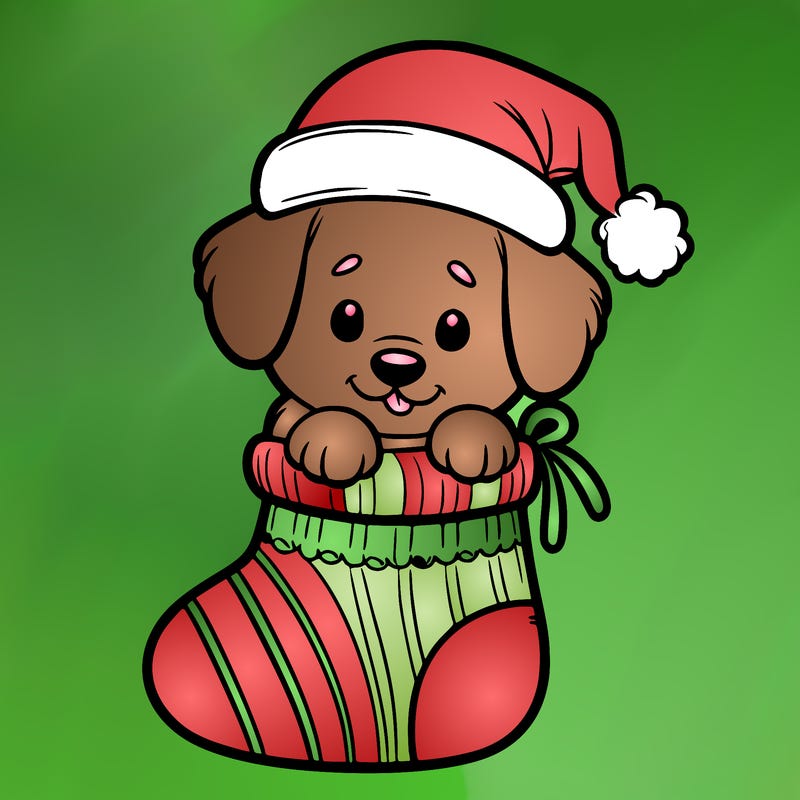 cute puppy wearing santa hat in socking