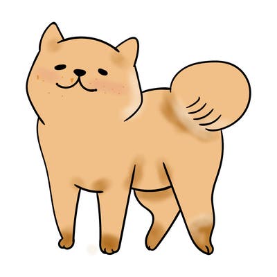 animals_29
