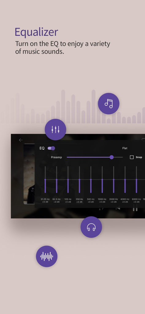 KMPlayer+ Divx Codec - Audio equalizer interface in KMPlayer Plus showing multi-band frequency and preamp controls