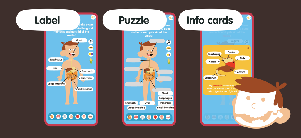 Human Body for Kids - Anatomy - Pantallas de aplicaciones educativas que muestran actividades de etiquetado del cuerpo humano, rompecabezas de anatomía y fichas informativas del sistema digestivo para niños