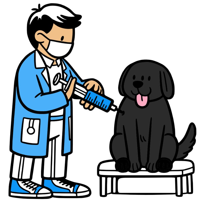 dog getting vaccinated