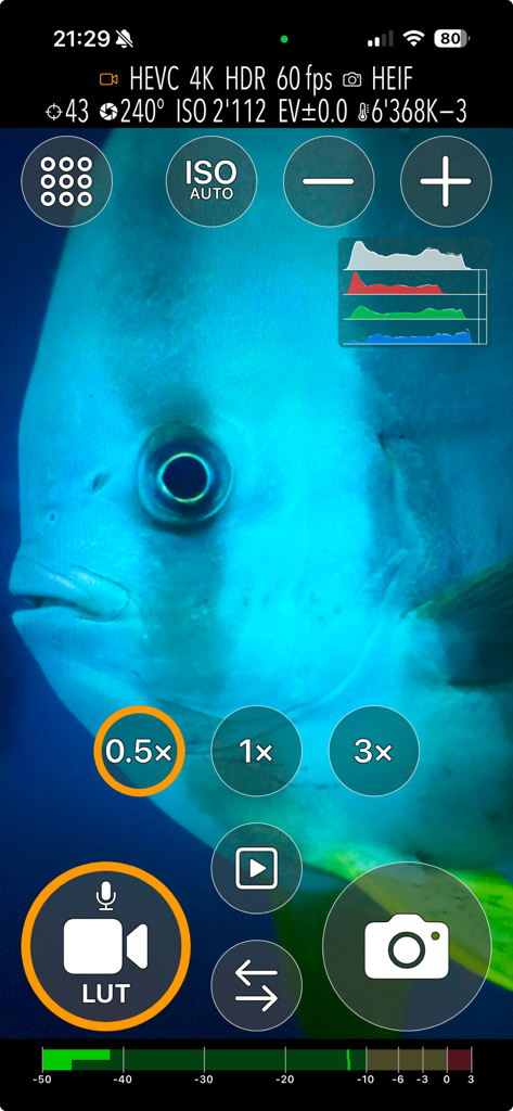 UWACAM - Interface do aplicativo UWACAM mostrando um close-up de um peixe com controles de vídeo e foto profissionais