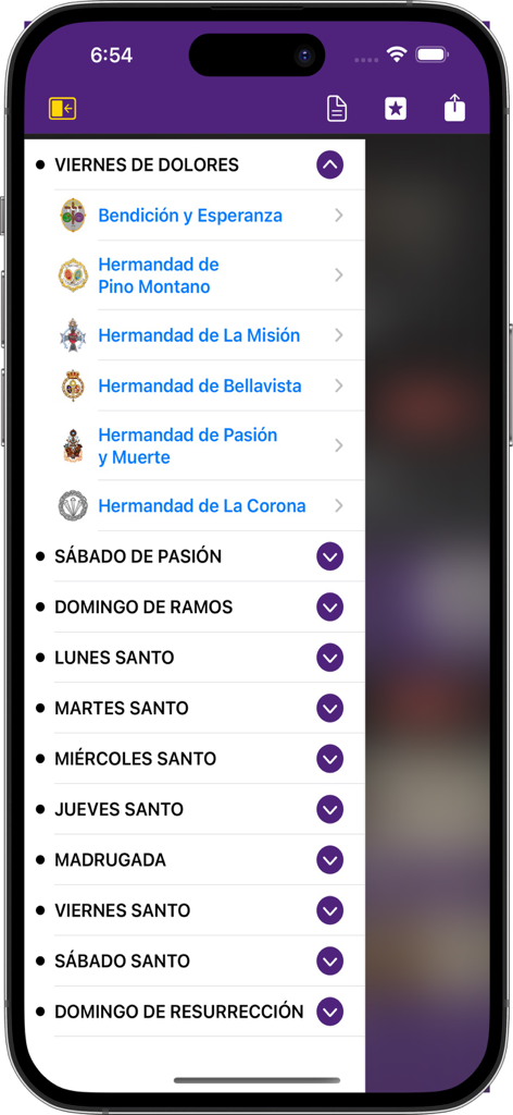Interface de l'application mobile montrant les horaires quotidiens des confréries et les itinéraires pour la Semaine Sainte à Séville