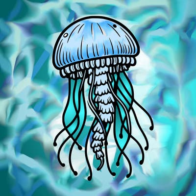 jellyfish