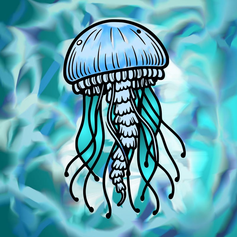 jellyfish