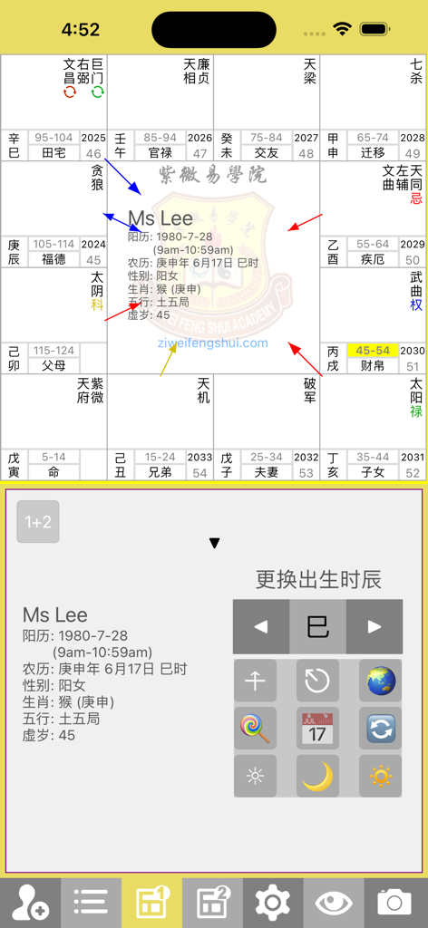 四化飞星 - プロフェッショナル紫微斗数占星術チャート、飛星インジケーターと生年月日設定付き