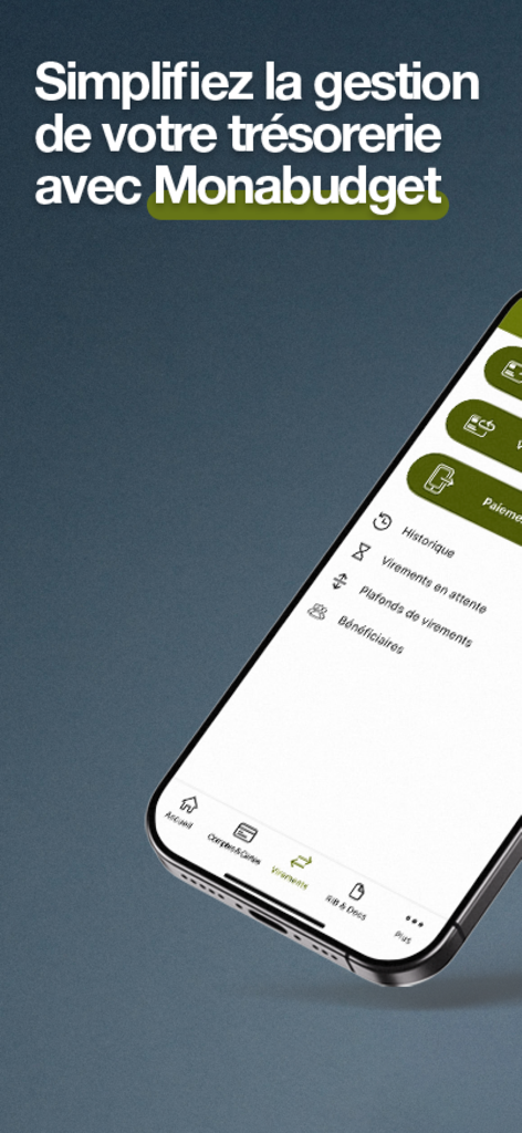 Monabanq mobile app showing the Monabudget cash management and transfer interface