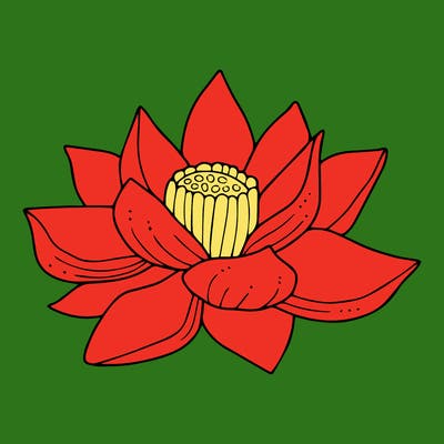 flowers_08