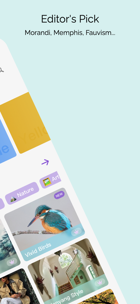 iColors - Color palette muse - Bildschirm „Editor's Pick“ der iColors-App, der kuratierte Farbpaletten und ästhetische Themen präsentiert.