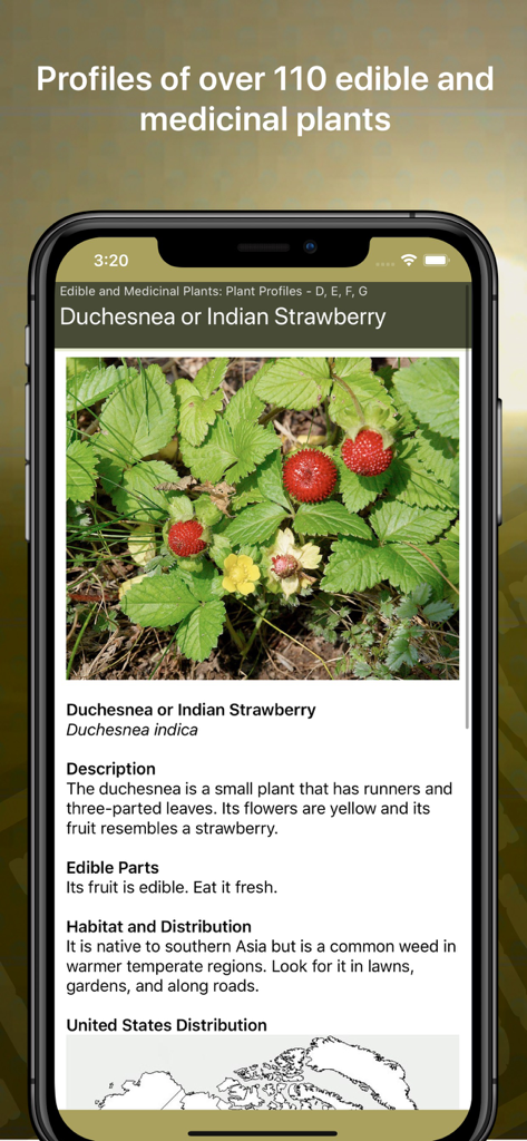 Wild Plant Survival Guide - Capture d'écran de l'application Guide de survie des plantes sauvages montrant un profil détaillé de la fraise des Indes, incluant des photos et des informations sur son habitat.
