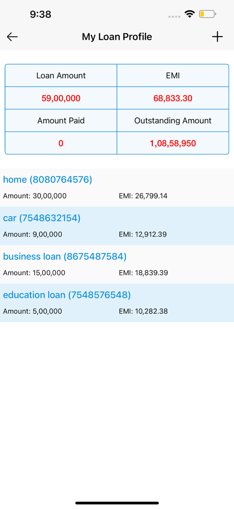 A summary view of multiple loans showing home car business and education loan details with monthly EMI calculations and total outstanding balance
