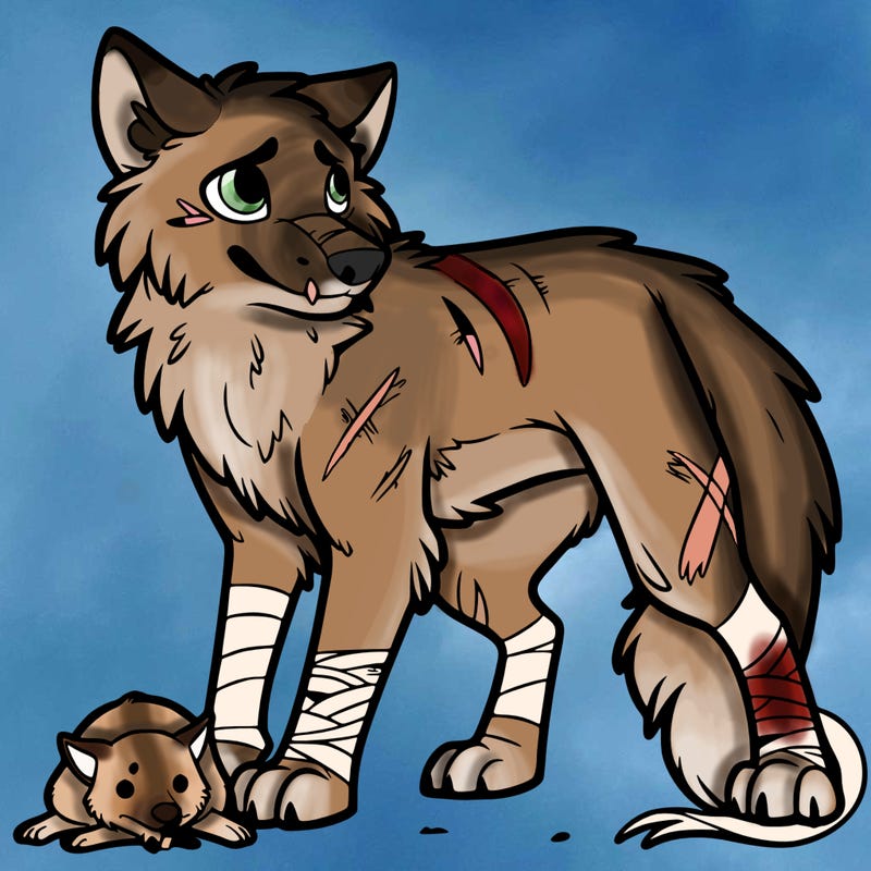 outcast wolf with scars